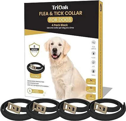 Picture of Flea Collar for Dogs