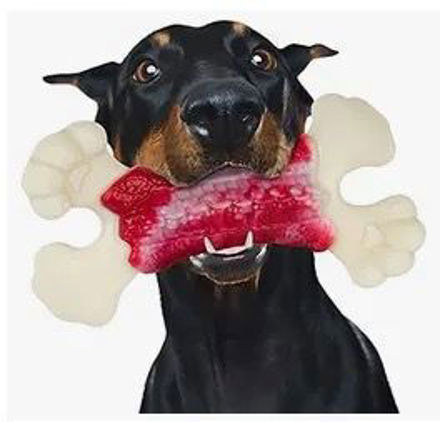 Picture of dog toys aggressive chewers