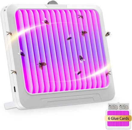 Picture of Fruit Fly Zapper
