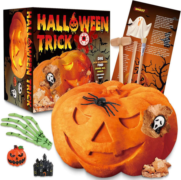 Picture of sumsync Halloween Pumpkin Dig Kit