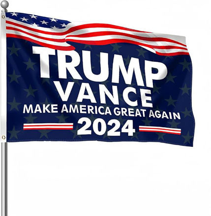 Picture of vegols trump 2024 flag