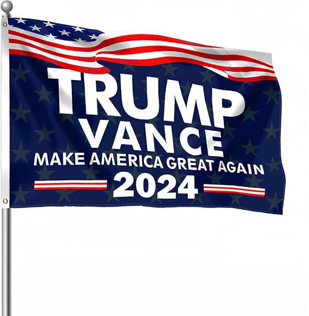 Picture of vegols trump 2024 flag