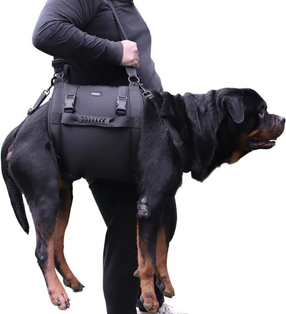 Picture of dog lift harness for large dogs