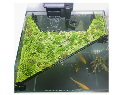 Picture of Floating Accessories Automatically Aquariums Style