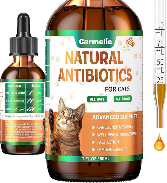 Picture of Natural Antibiotics Cats Infection Supplemental