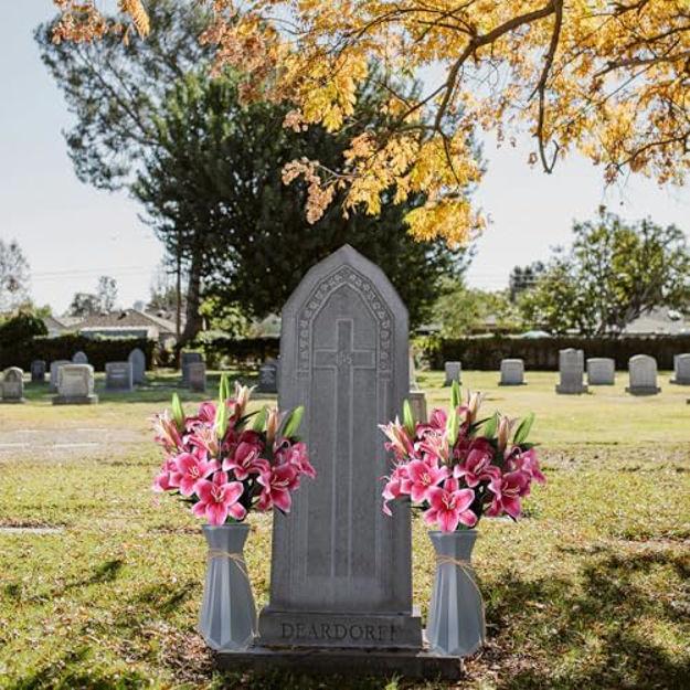 Image6