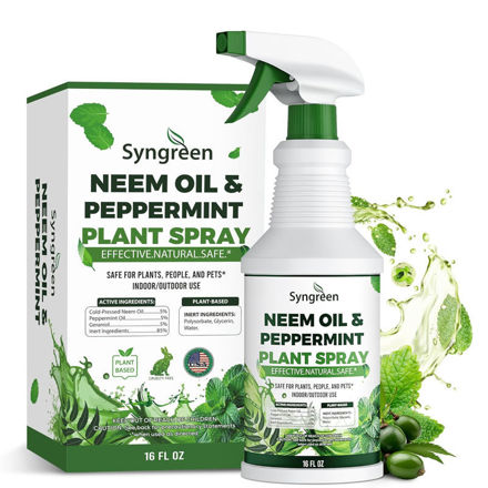 Picture of Neem Spray Plants Peppermint