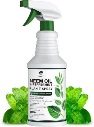 Picture of Peppermint Protection Plant Based Vegetables Houseplants