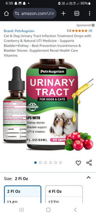 Picture of Urinary Infection Treatment Cranberry Medicine