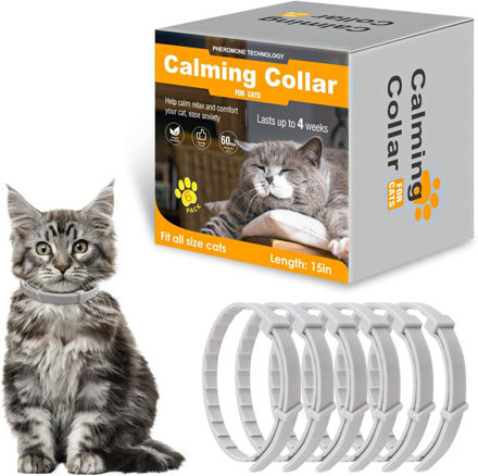 Picture of Calming Pheromone Adjustable Resistant Breakaway