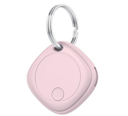 Picture of Air Tags 1 Pack Pink
