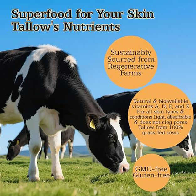 Picture of Beef Tallow Skin Moisturizer