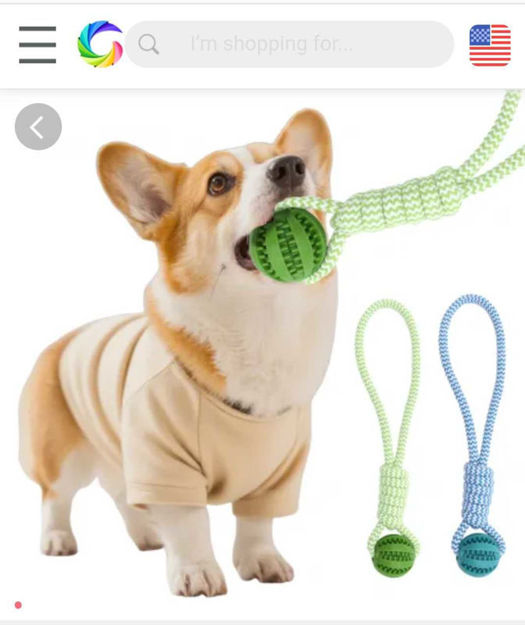 Picture of kazazoo Aggressive Chewers Puppy Teething