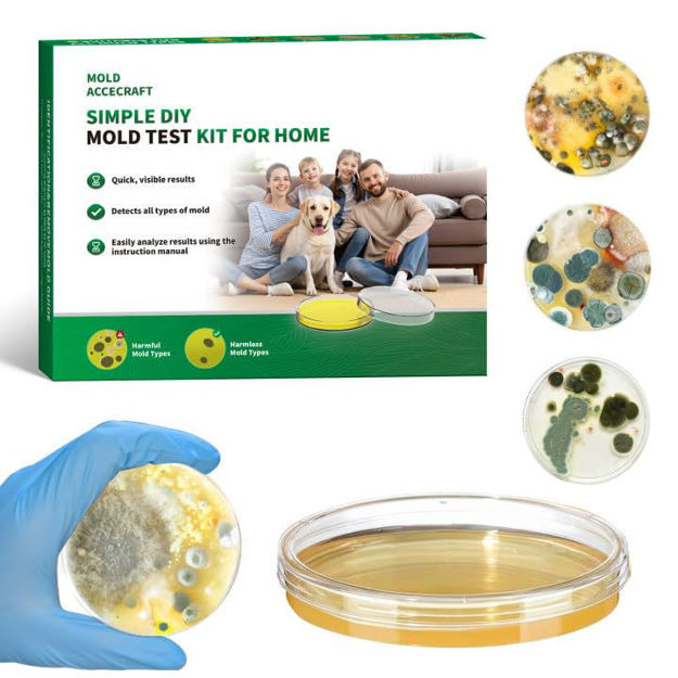 Picture of Mold Test Kit Home Identification