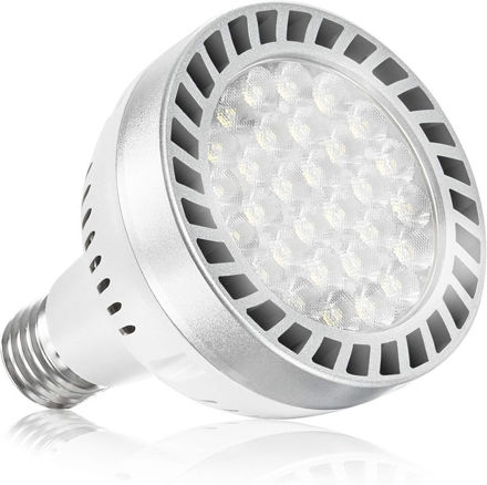 Picture of Daylight Swimming Replacement Fixtures