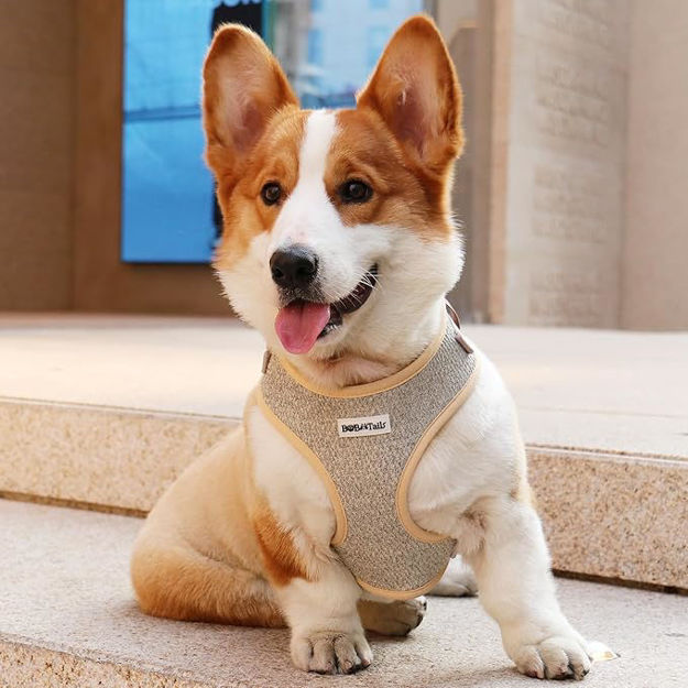 Picture of Adjustable Soft Padded and Cotton Fabric Pet Vest