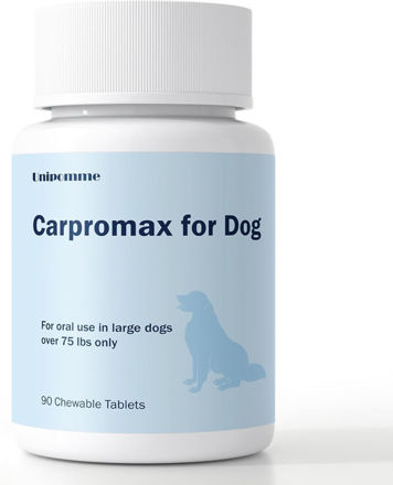 Picture of Carpromax Large Relief Support Senior