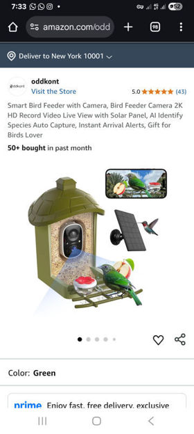 Picture of oddkont Identify Species Capture Instant