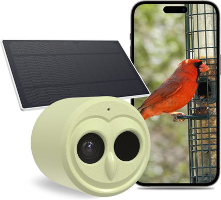 Picture of Watching Identify Capture Species Wireless